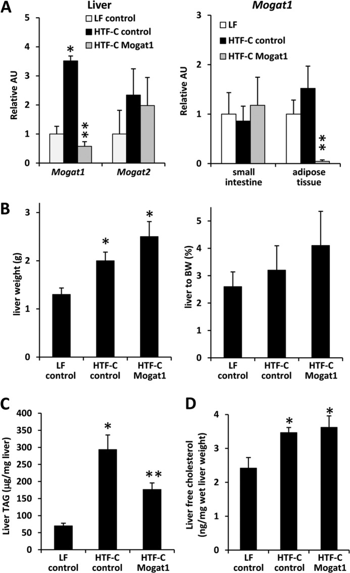 FIGURE 3.