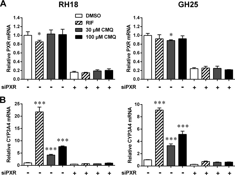 FIG 6