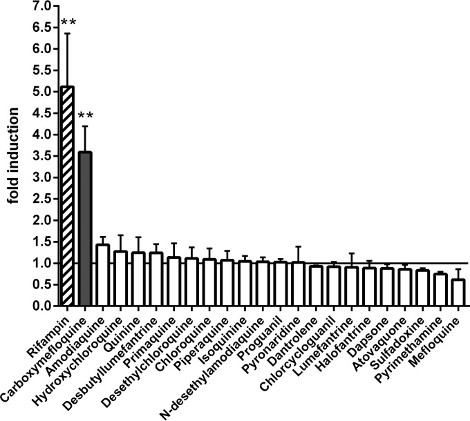 FIG 1