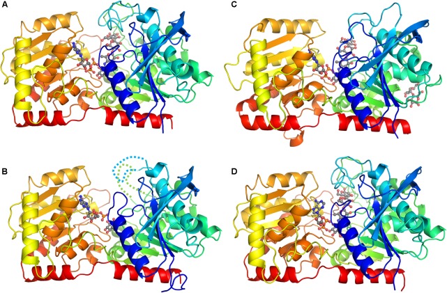 FIGURE 1