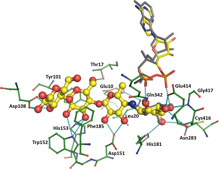 FIGURE 4