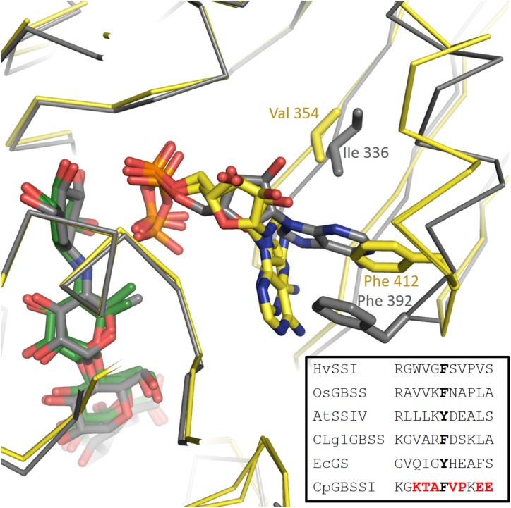 FIGURE 3