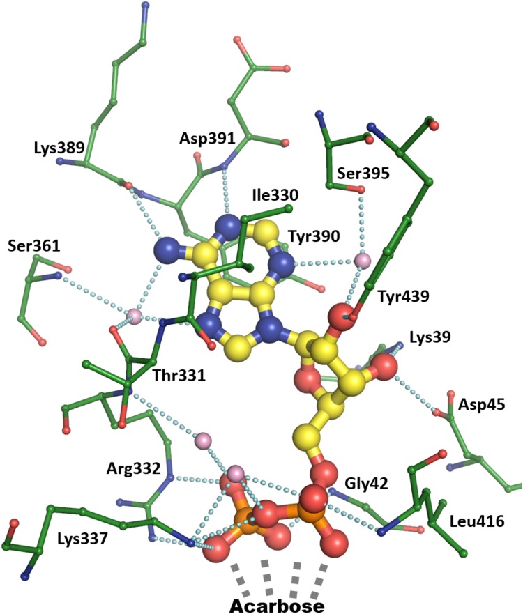 FIGURE 2