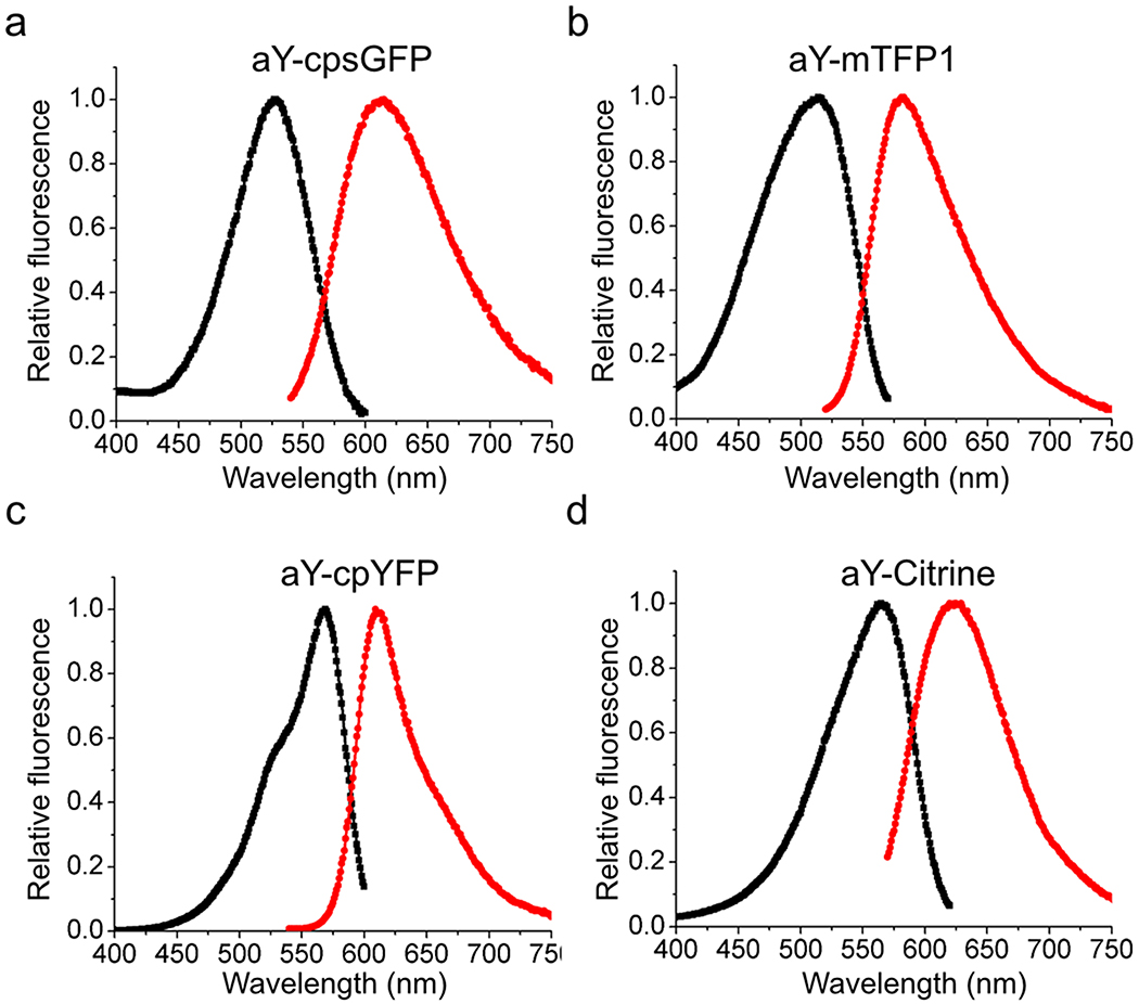 Extended Data Figure 1.