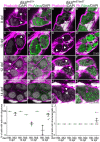 Fig. 7.