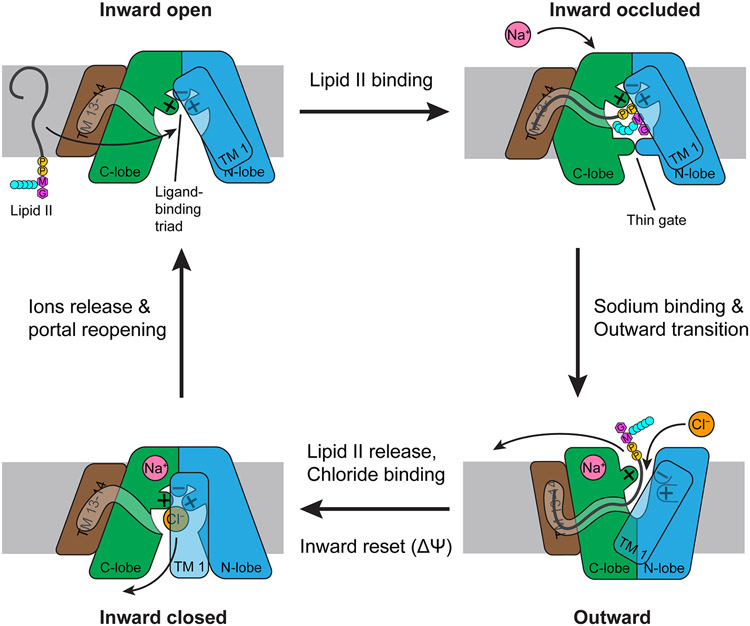 Figure 6.