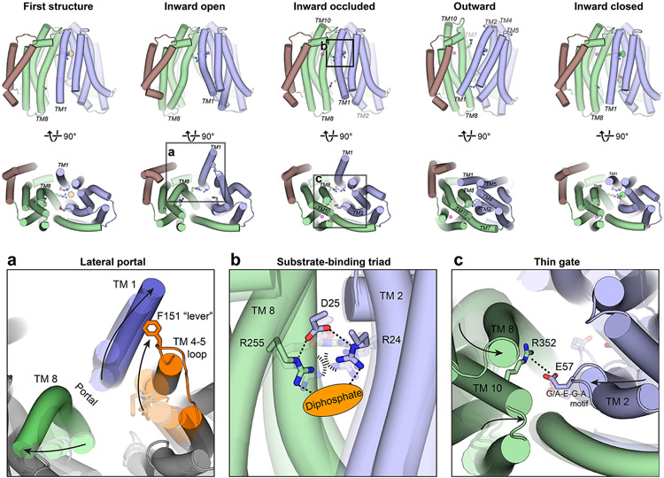 Figure 4.