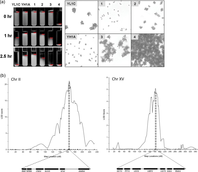 Figure 1.