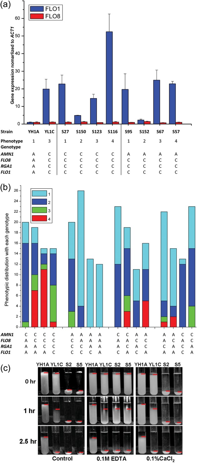 Figure 6.