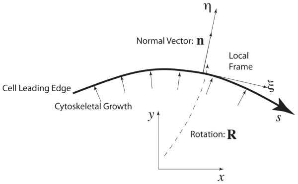 Fig. 5