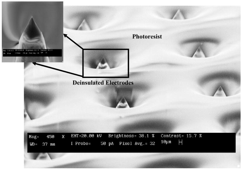 Fig. 12