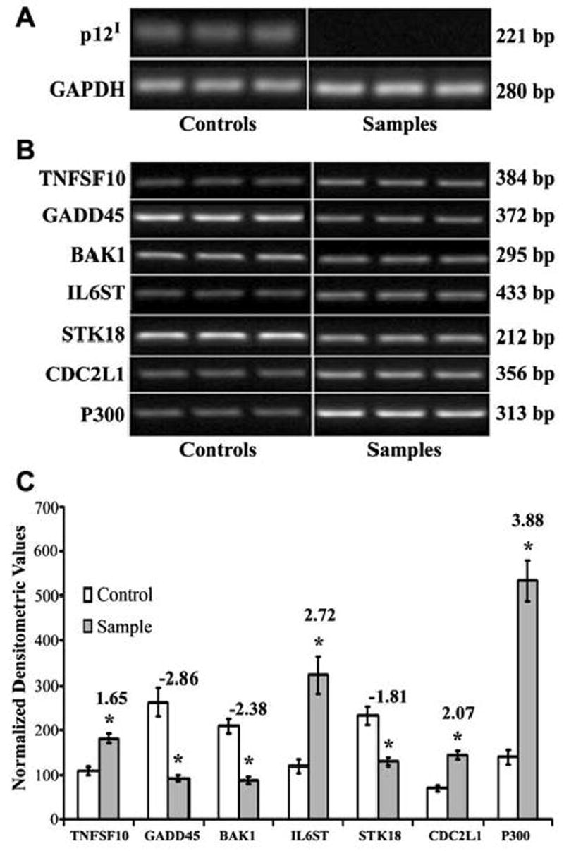 FIG. 8