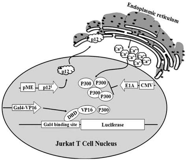 FIG. 9