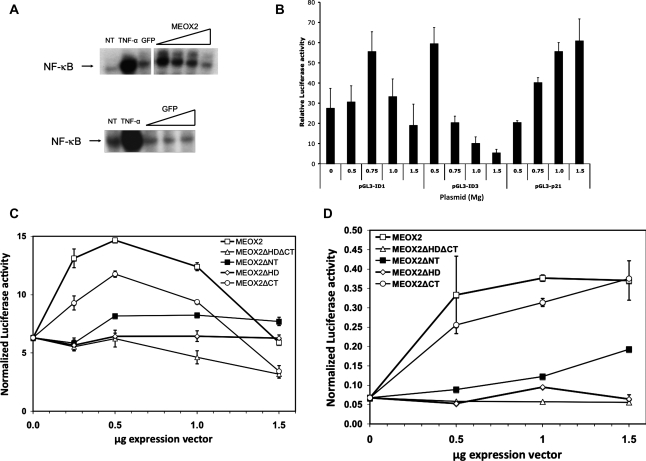 Figure 5