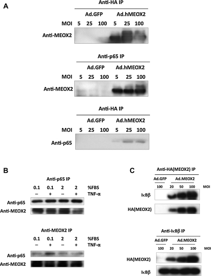 Figure 3