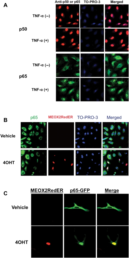 Figure 2