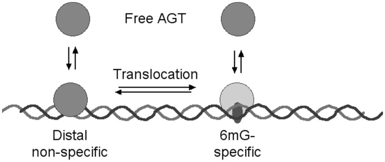 Figure 12.