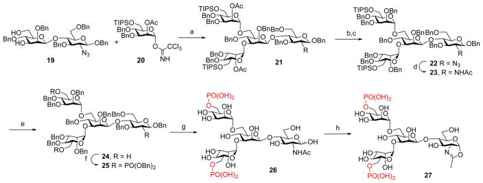 Scheme 3