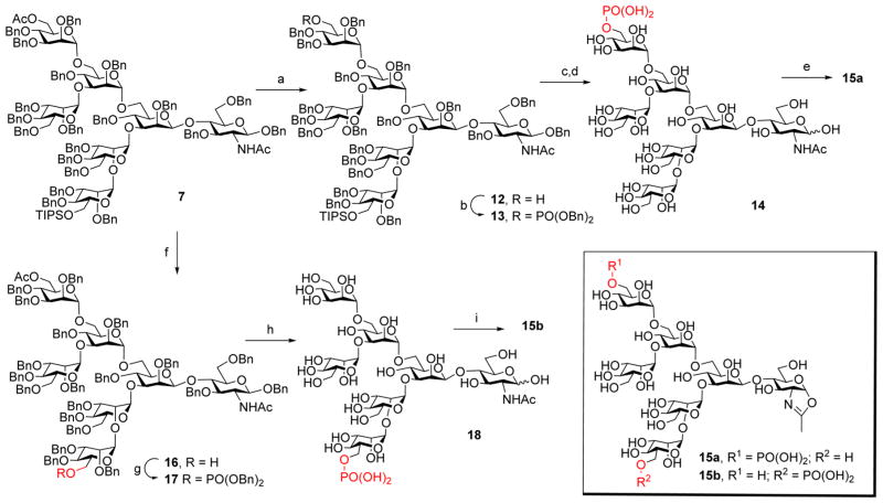 Scheme 2