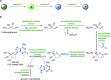 Scheme 7