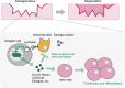 Fig. 4