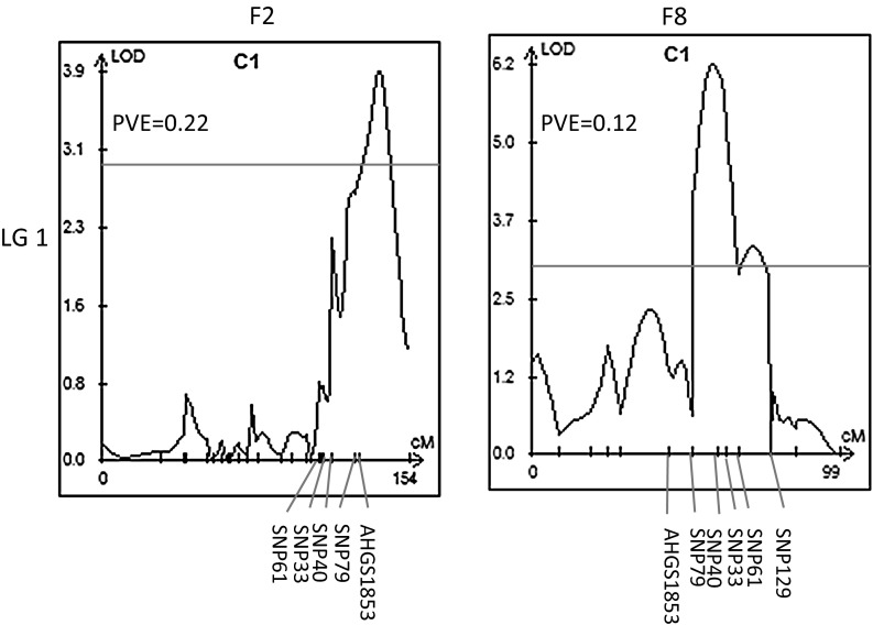 Fig. 2