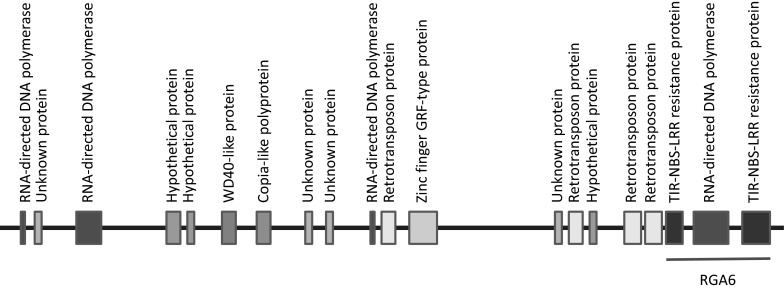 Fig. 3