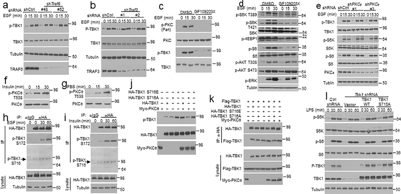 Extended Data Fig. 6