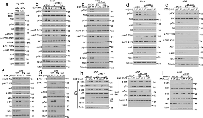 Extended Data Fig. 2