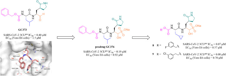 Fig. 6