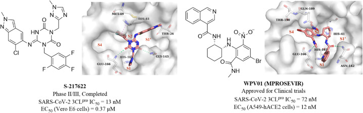 Fig. 13