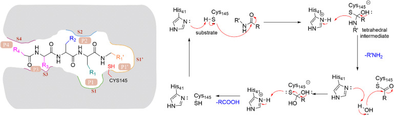 Fig. 3