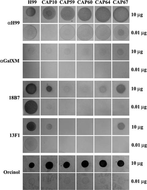 FIG. 5.