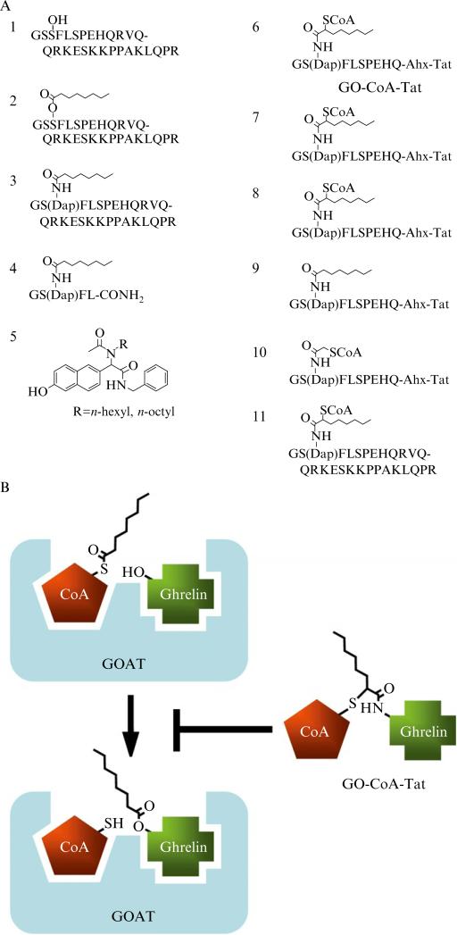 Figure 13.2