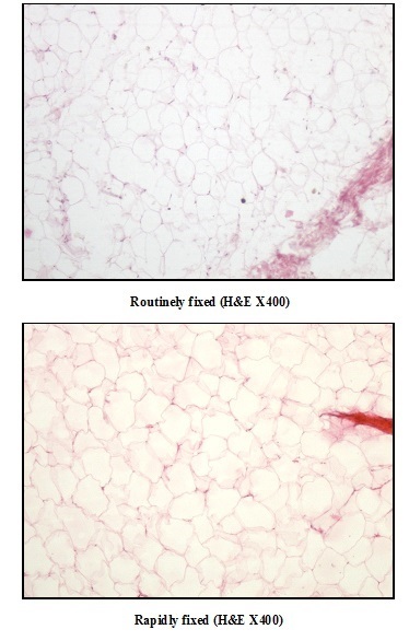 [Table/Fig-5A]: