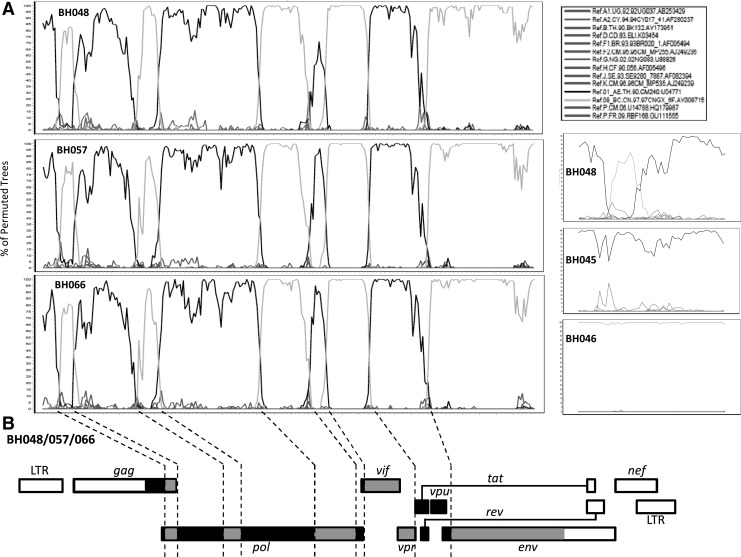 FIG. 2.