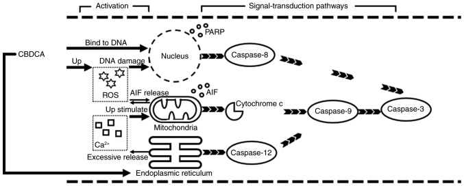 Figure 7.