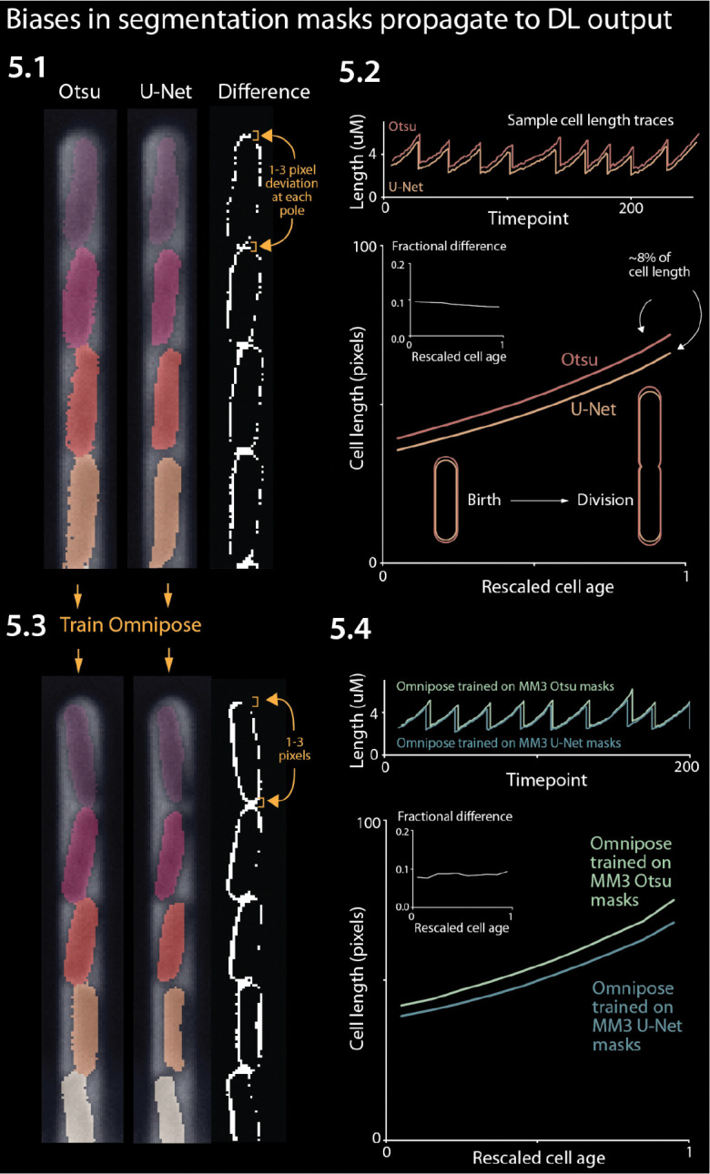 Figure 5: