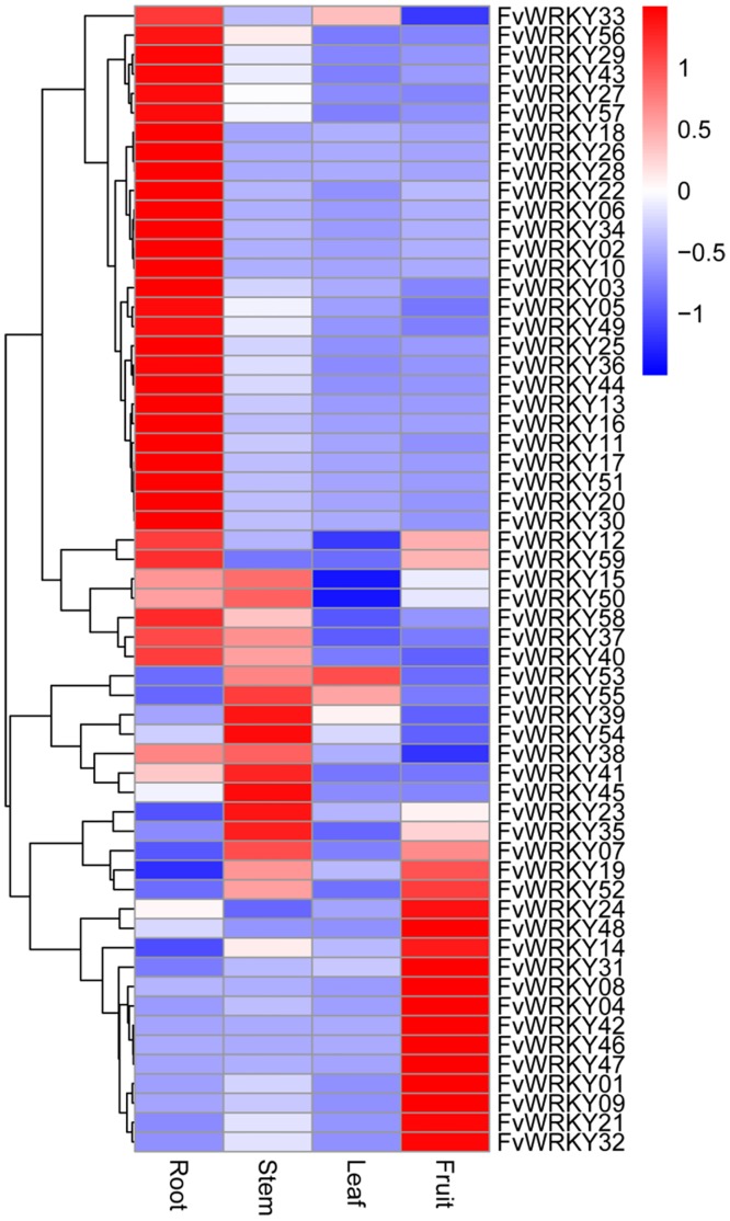 Fig 5