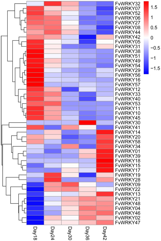 Fig 6