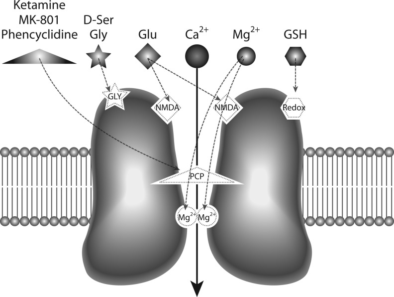 FIG. 2.