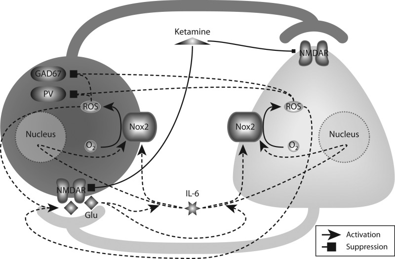 FIG. 5.