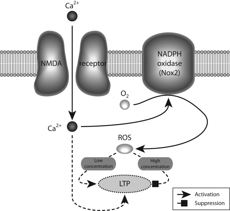 FIG. 4.