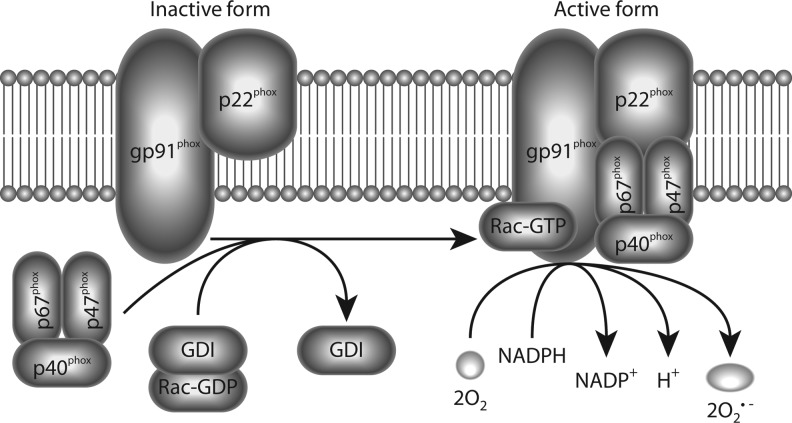 FIG. 1.