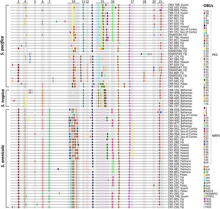 Fig. 6.