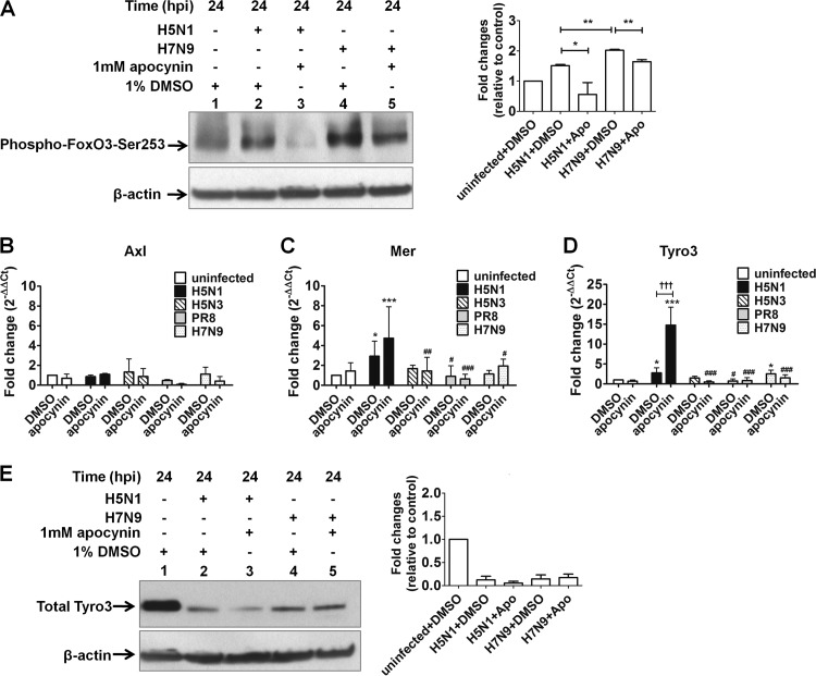 FIG 6