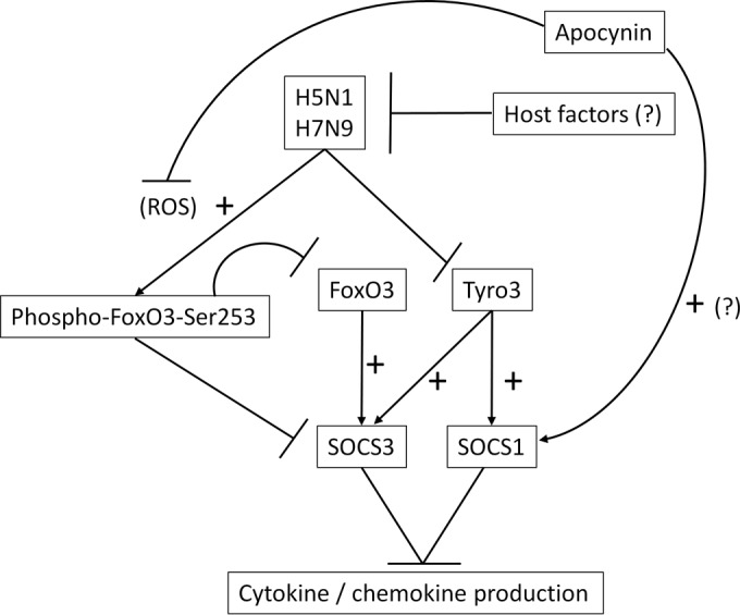 FIG 7