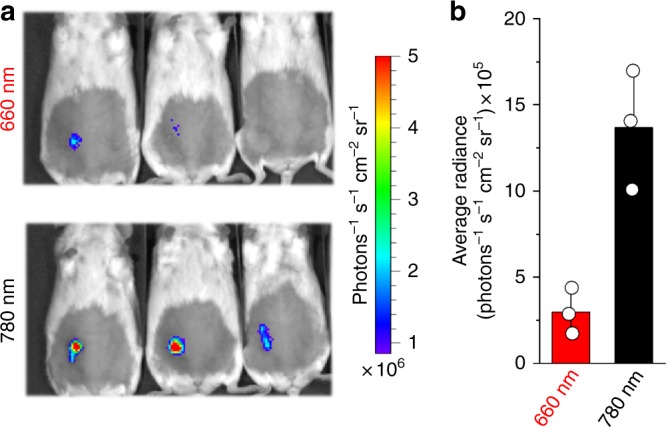 Fig. 9