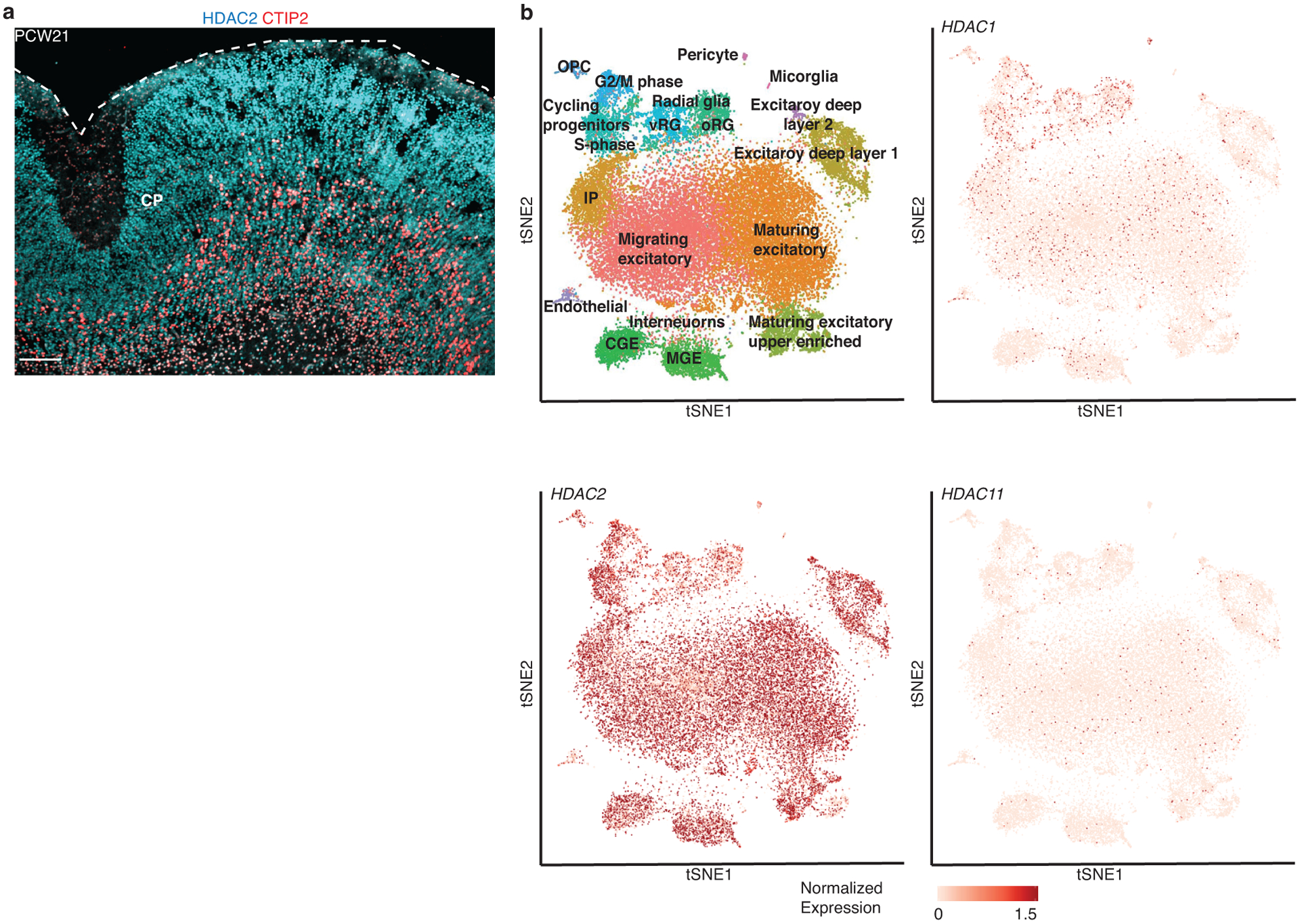 Extended Data Fig. 6