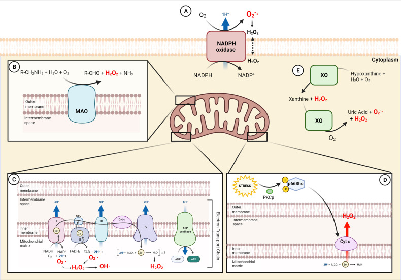 Figure 1